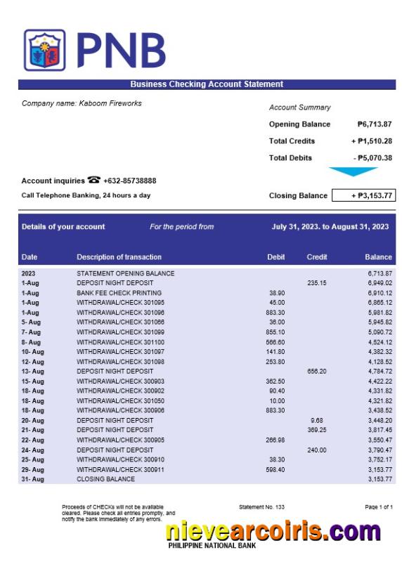 Philippine National Bank Business statement